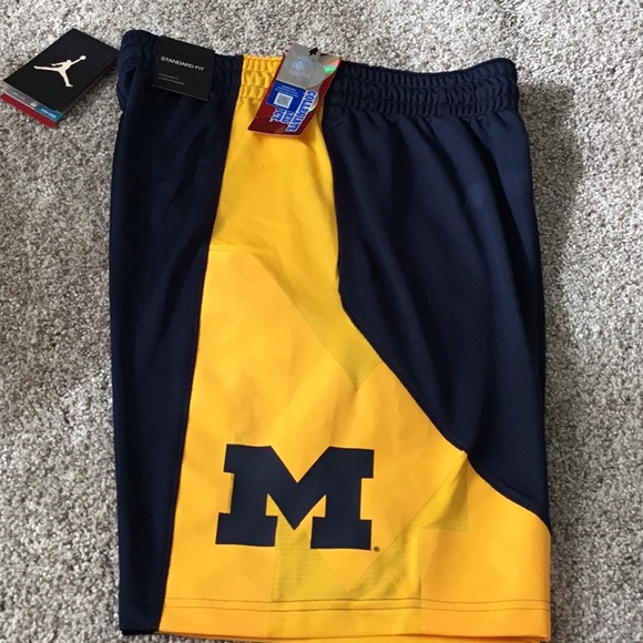 Jordan | Shorts | Nike Jordan Michigan 